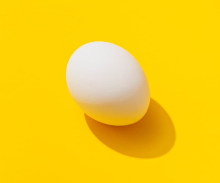 egg on yellow backdrop